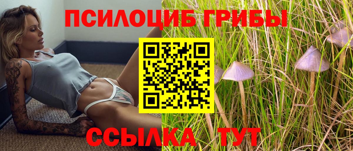Галлюциногенные грибы мицелий  Вход с VPN  Обнинск 